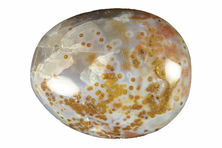 Polished Ocean Jasper Stone - New Deposit #261192